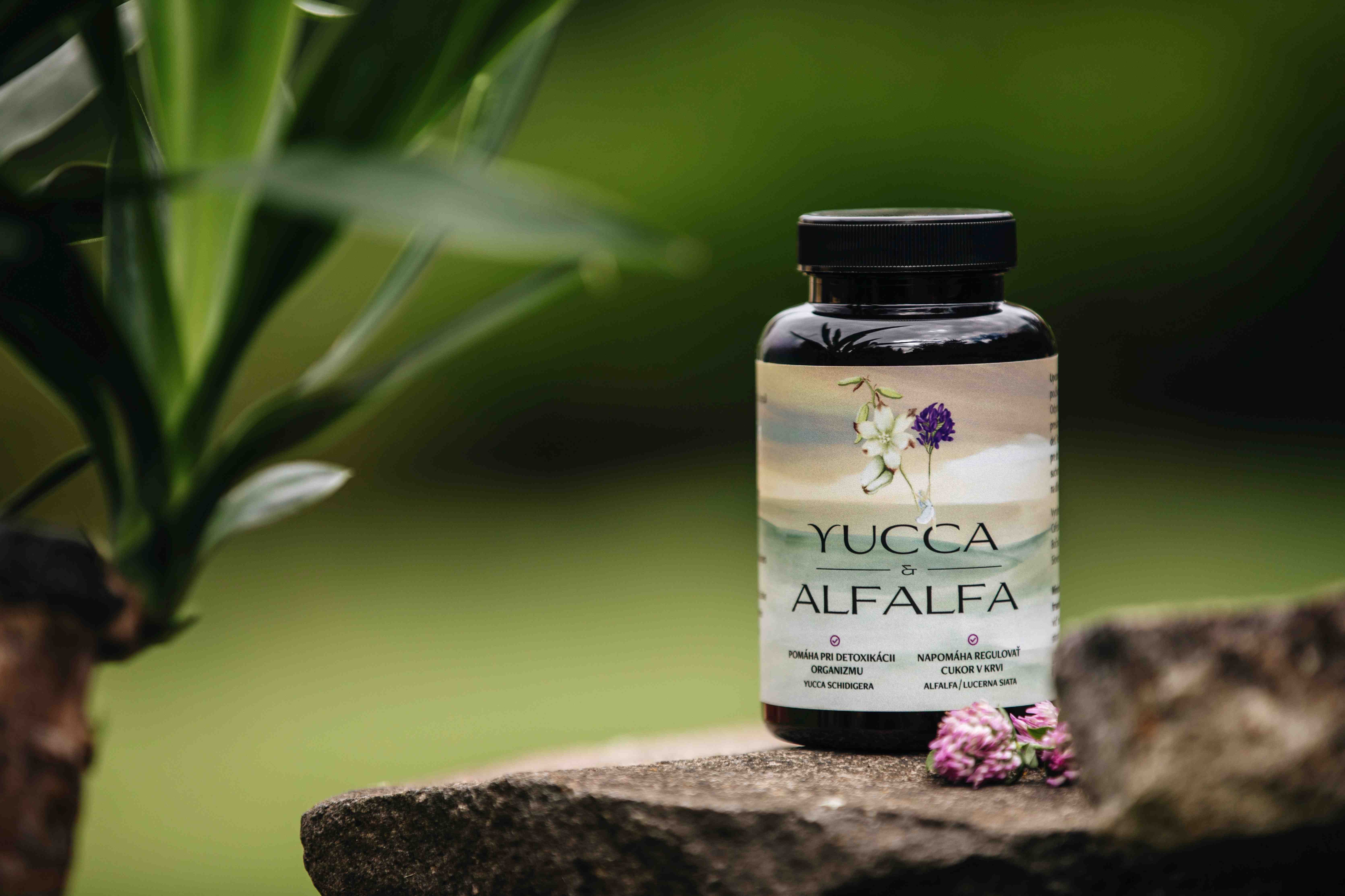 Yucca lifestyle 2 11